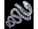 Серебряное кольцо, змея